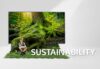 eco friendly renting televisions