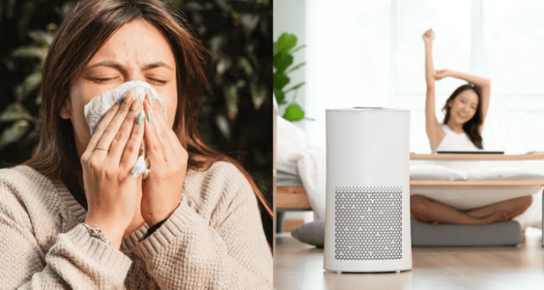 why renting an air purifier is crucial for allergy sufferers